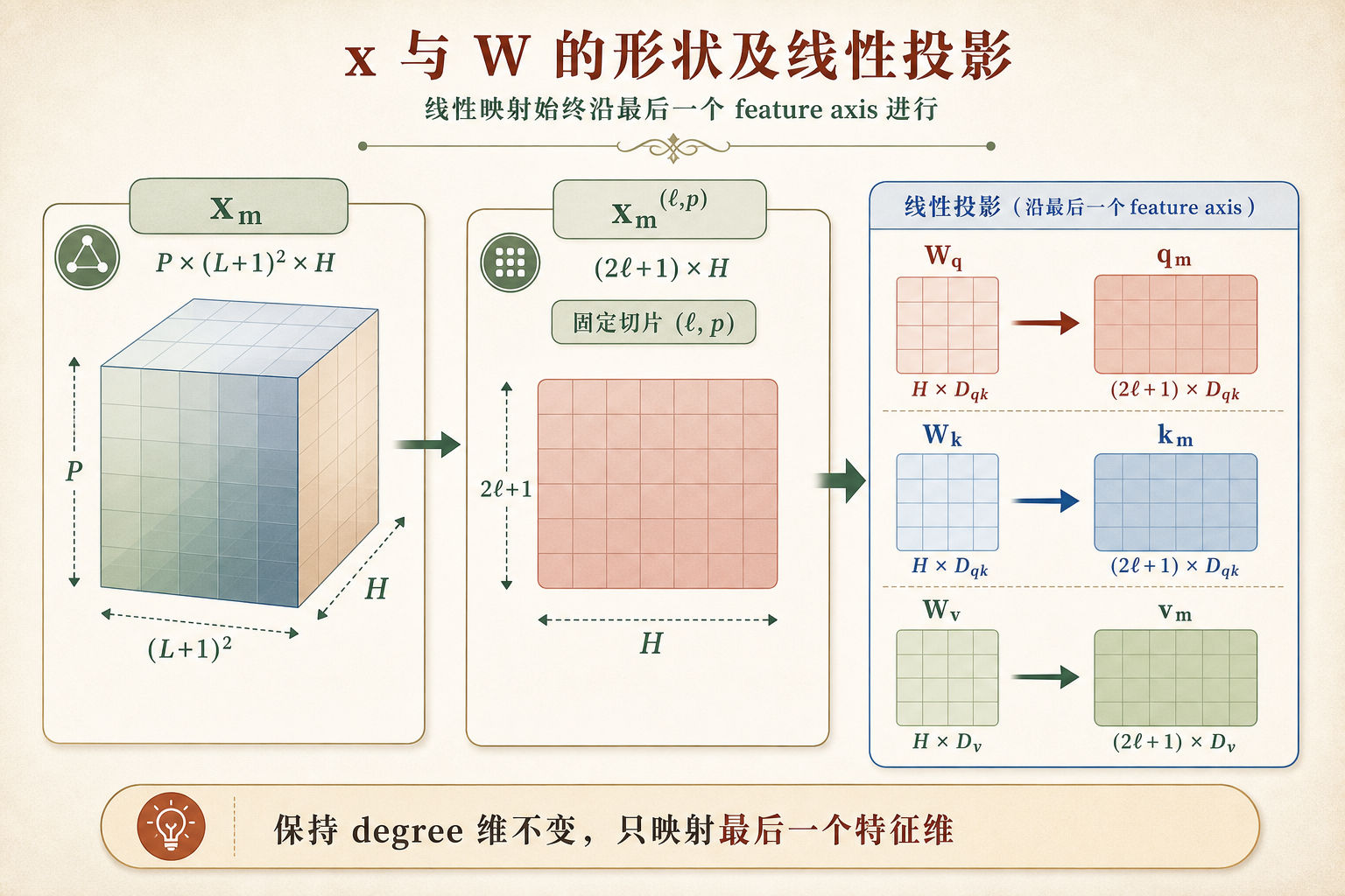 EFA block 中 qkv 线性投影示意图
